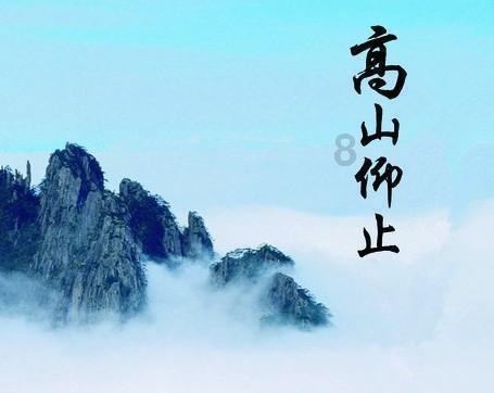 机智问答网页-快速解答你的问题-狗的记忆力是多久?